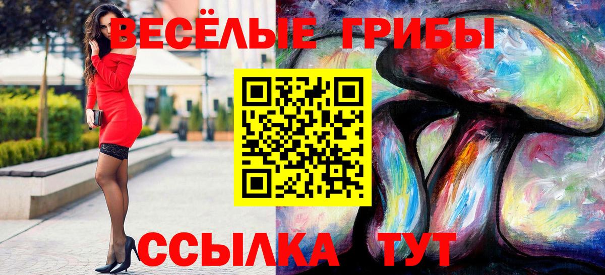 Ейск  Галлюциногенные грибы Magic Shrooms  Вход с VPN  Псилоцибиновые грибы мицелий 